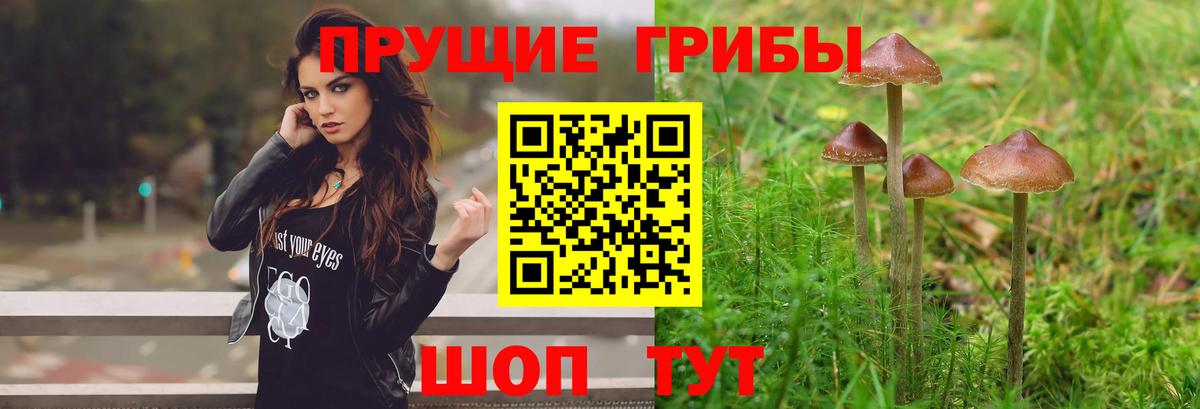 Псилоцибиновые грибы ЛСД Ростов-на-Дону